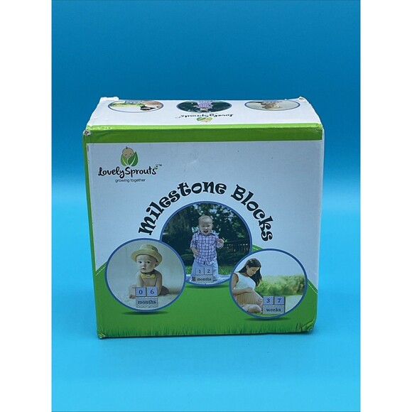Baby Boy Milestone Blocks for Nursery Decor Lovely Sprouts Brand - Picture 1 of 8